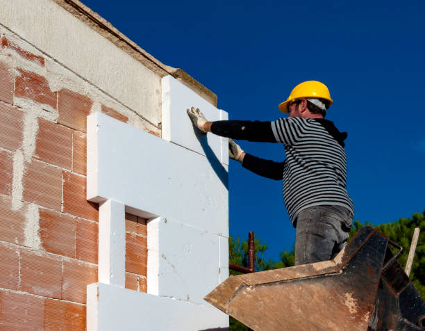 Best Insulation Maintenance and Repair in Bellevue, MI