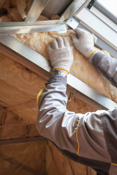 Best Insulation Installation Services in Bellevue, MI