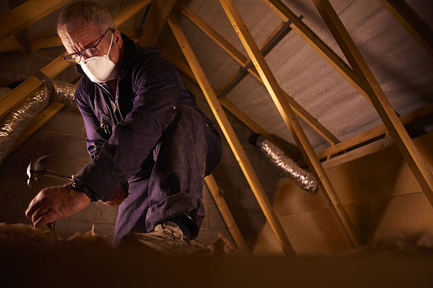 Best Insulation Maintenance and Repair in Bellevue, MI