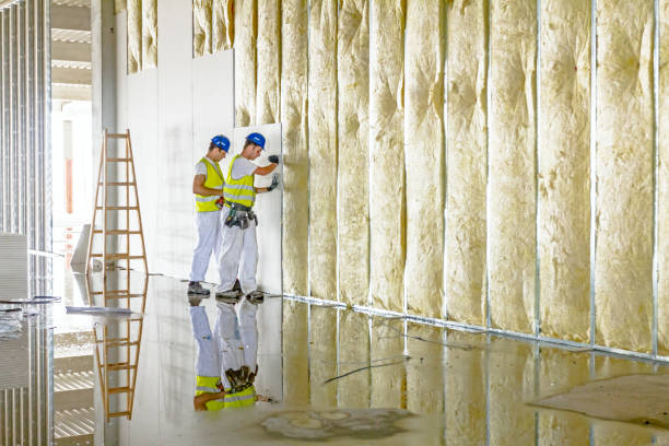 Best Insulation for Specific Applications in Bellevue, MI